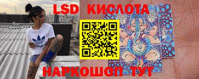 прущие грибы Краснодар