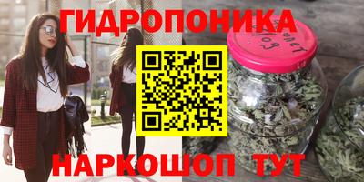 прущие грибы Краснодар
