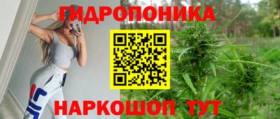 гашик Краснокаменск