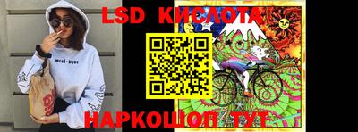 прущие грибы Краснодар