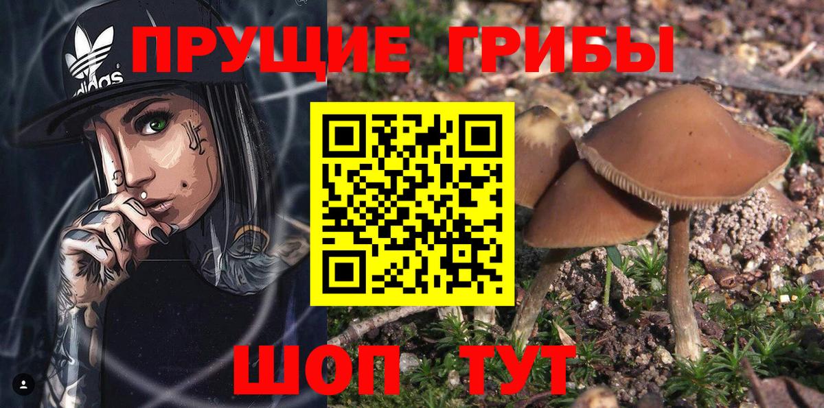 Псилоцибиновые грибы мухоморы Ульяновск