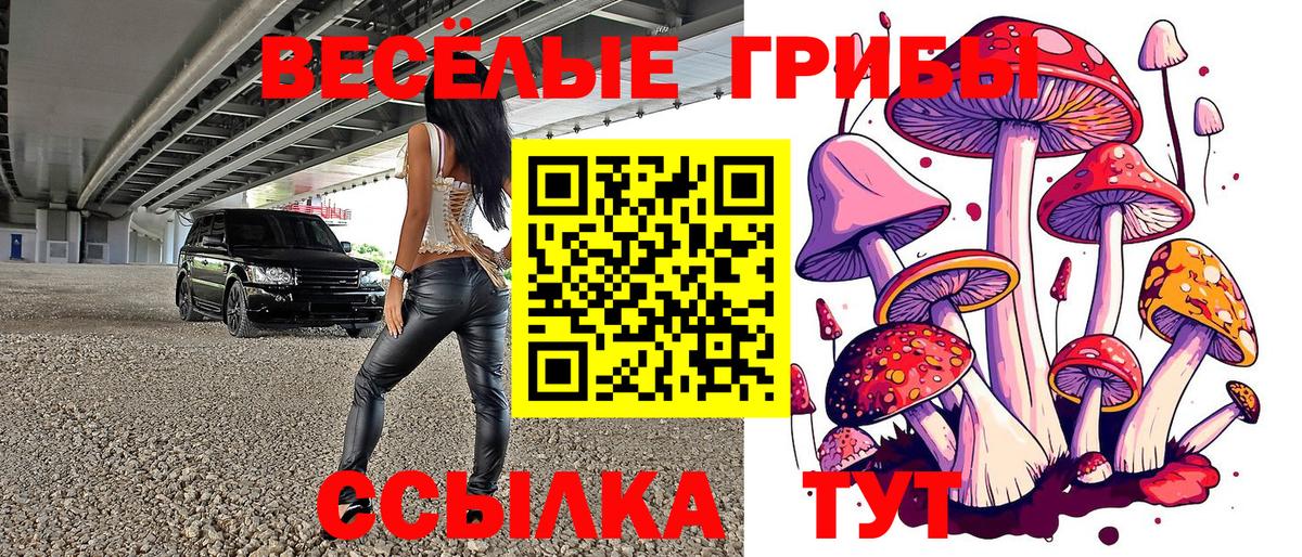 Ульяновск  Галлюциногенные грибы прущие грибы  наркота  Вход с VPN 